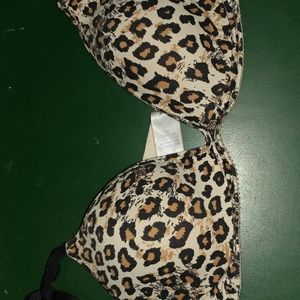 36b bra